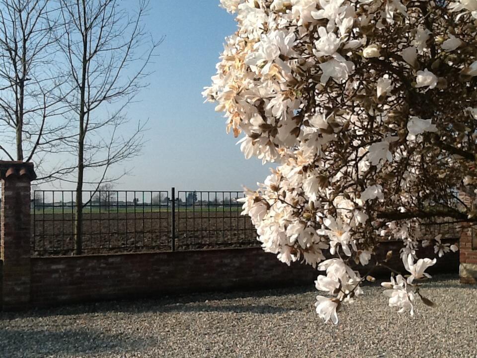 Bed and breakfast Cascina Baraggione Granozzo con Monticello